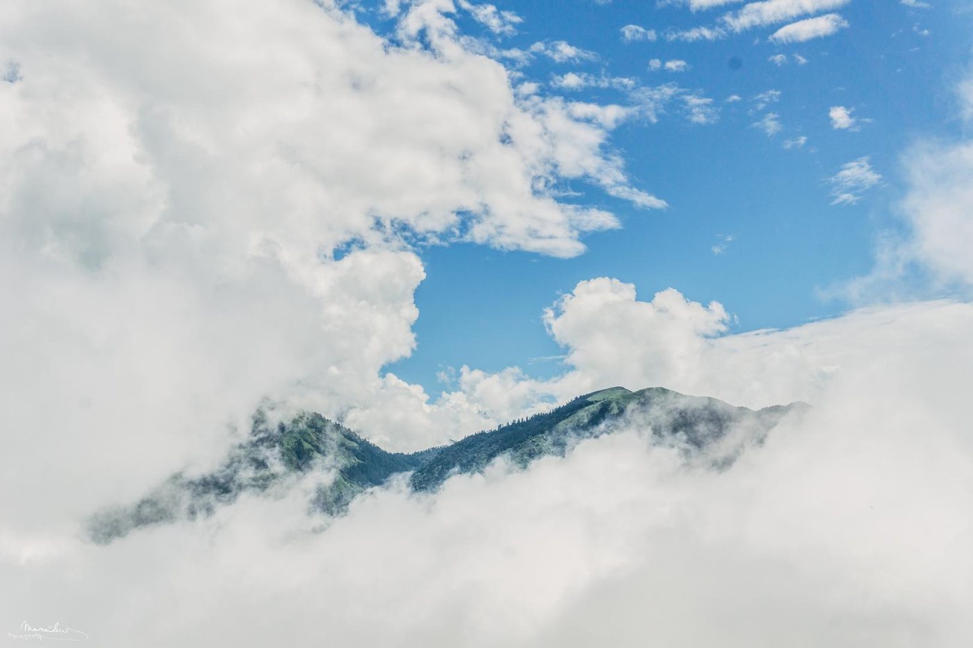 Above the clouds